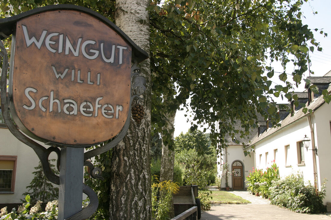 Willi Schäfer Weingut in Graal an der Mosel Rheinland-Pfalz Deutschland