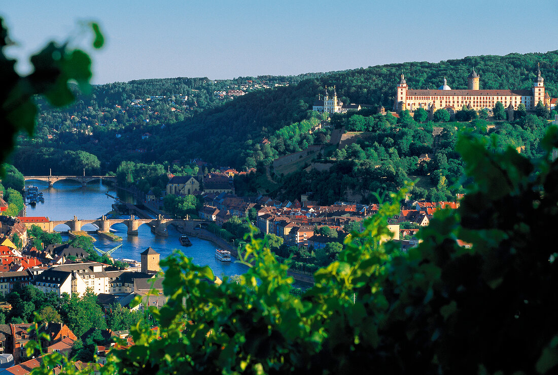 View of vineyards in Wurzburg, Franconia, Germany