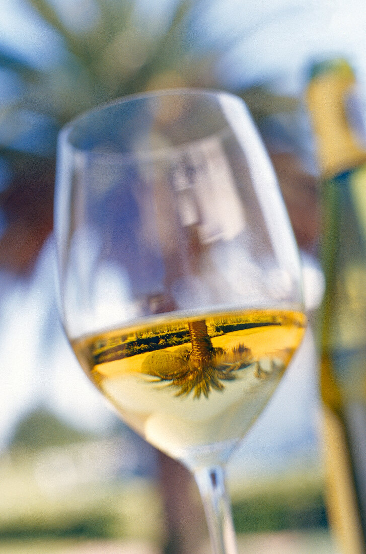 Close-up of wine glass