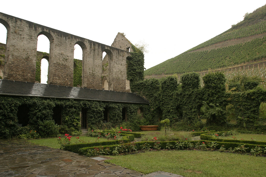 Staatliche Weinbaudomäne Marienthal Staatliche Weinbaudomäne Marienthal Weingut in Marienthal Rheinland-Pfalz