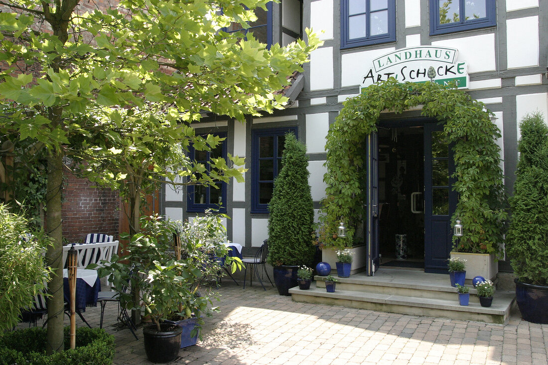 Artischocke Restaurant in Hemmingen Niedersachsen