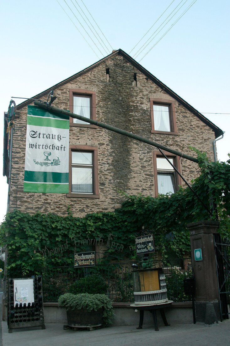 Franz Friedrich-Kern Franz Friedrich Kern Weingut mit Straußwirtschaft Strausswirtschaft in Bernkastel-Kues