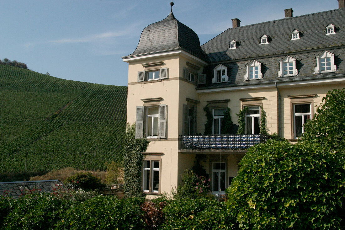 Egon Müller - Scharzhof Egon Mueller Scharzhof Weingut in Wiltingen Rheinland-Pfalz Deutschland