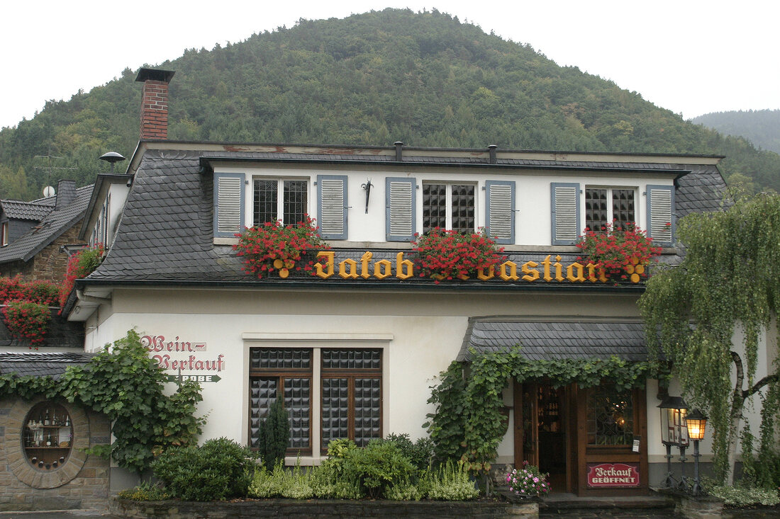 Jakob Sebastian Weingut in Rech Rheinland-Pfalz Deutschland