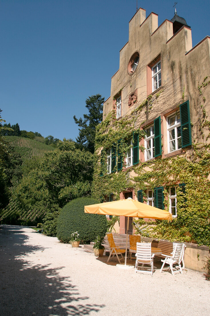 C v Schubert'sche Gutsverwaltung C. v. Schubertsche Gutsverwaltung Weingut in Mertesdorf Rheinland-Pfalz