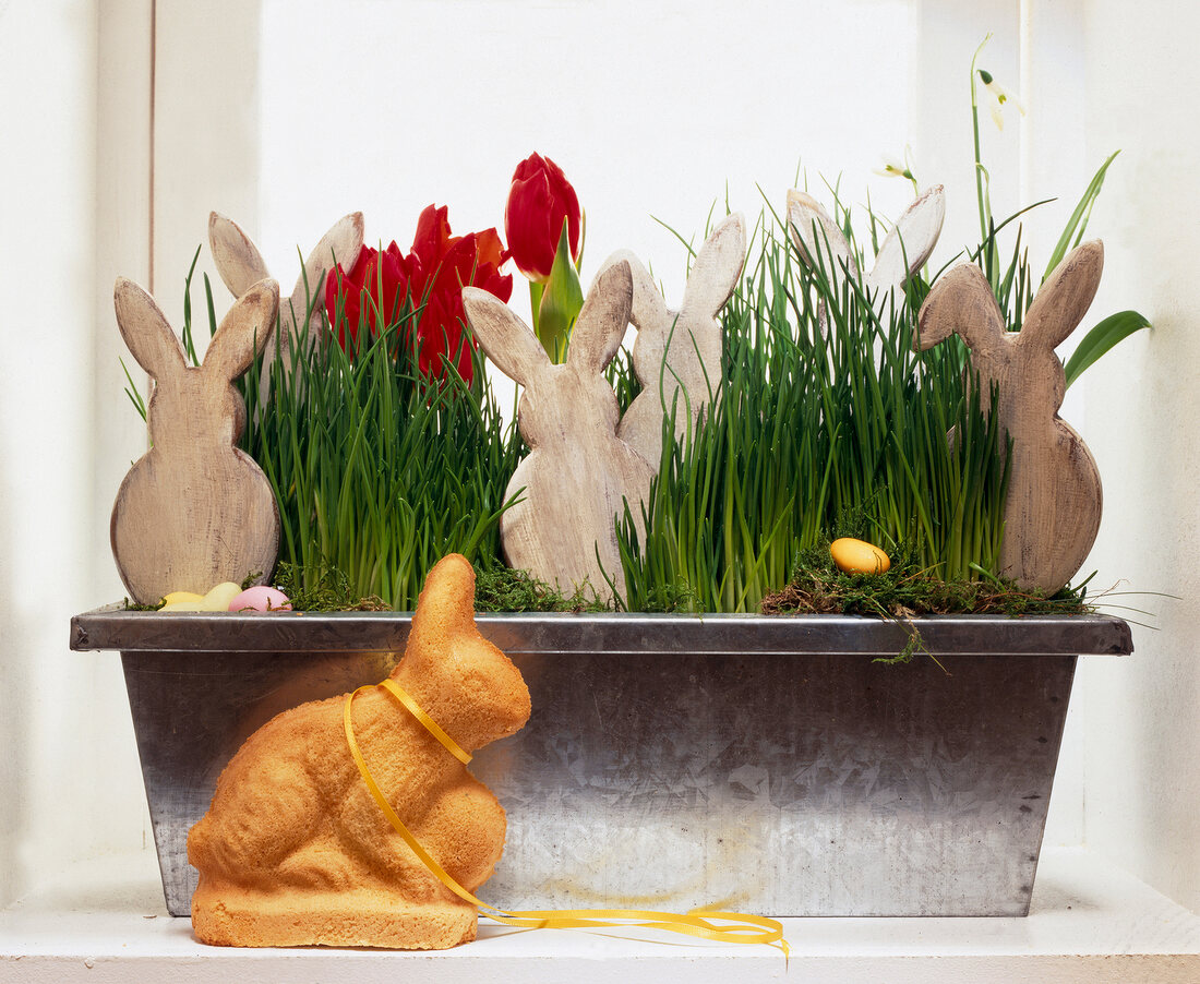Wooden bunnies in flower box with snowdrops and tulips with dekohase