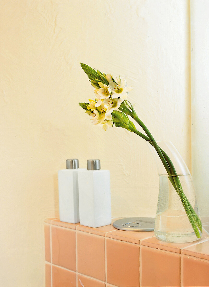 Ablagefläche hinter dem Wand WC, daruf Blumen und Flaschen