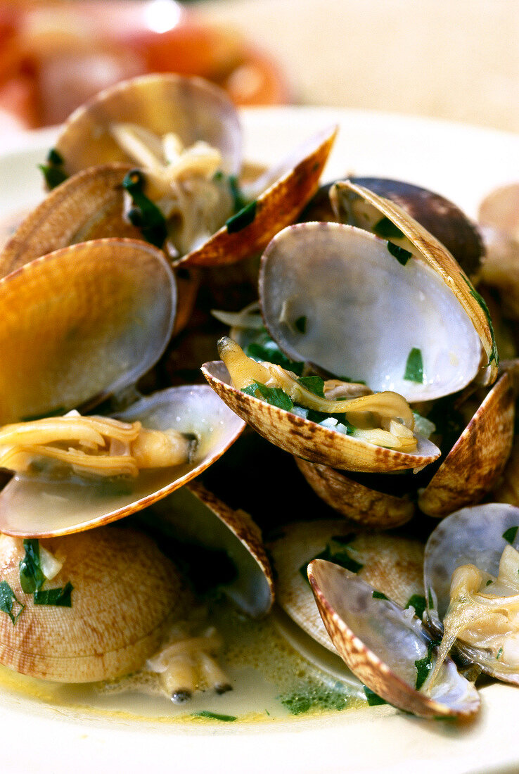 Close-up of several clams, Tapas