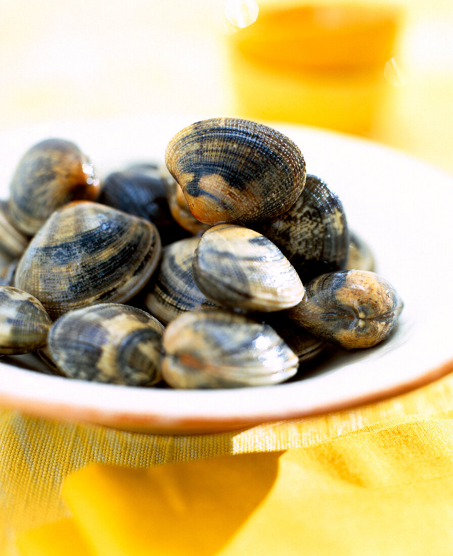 Close-up of clams on plate