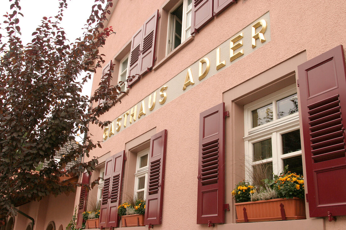 Adler Blumenkaesten Fassade Hotel mit Restaurant in Lahr