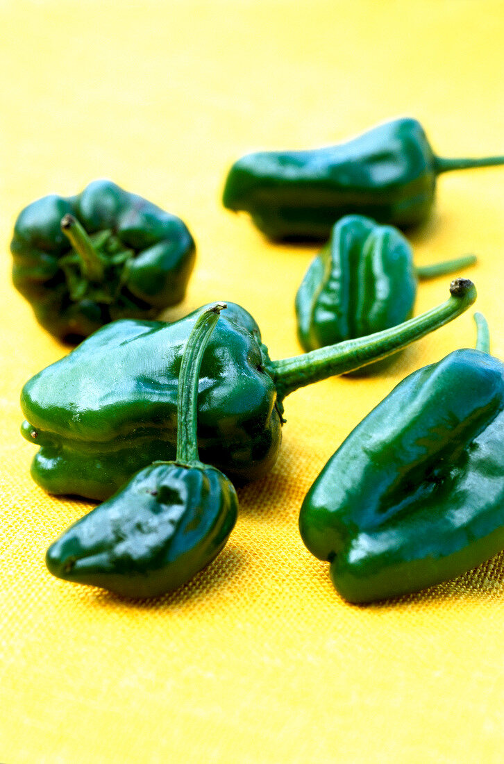 Close-up of padron peppers on yellow background