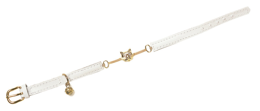 Weißes Halsband mit Goldanhänger für Katzen