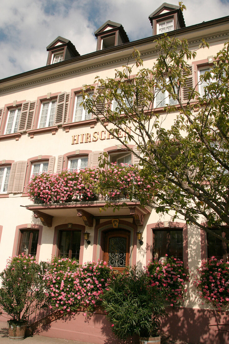 Hirschen Restaurant Gaststätte Gaststaette in Sulzburg