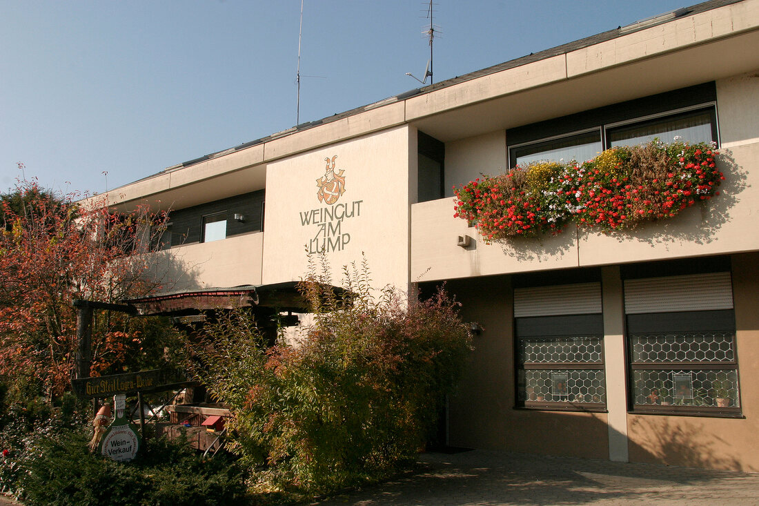 Weingut Am Lump Weingut in Volkach Bayern Deutschland