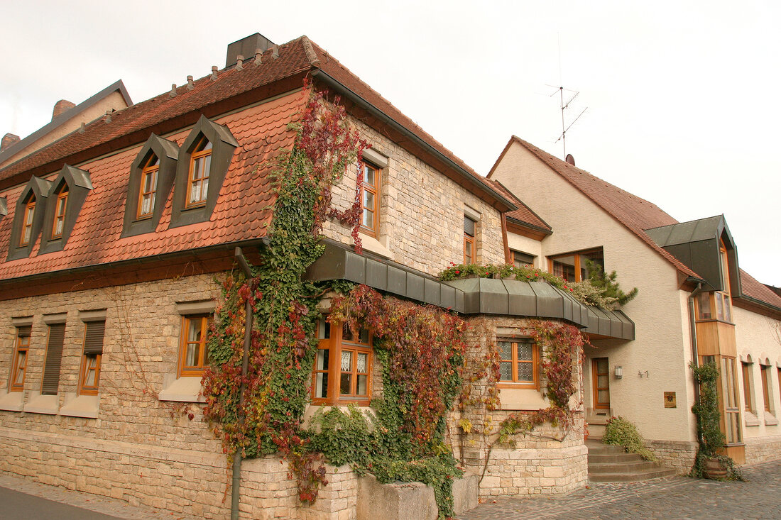 Michael Fröhlich Michael Fröhlich Weingut in Volkach Bayern