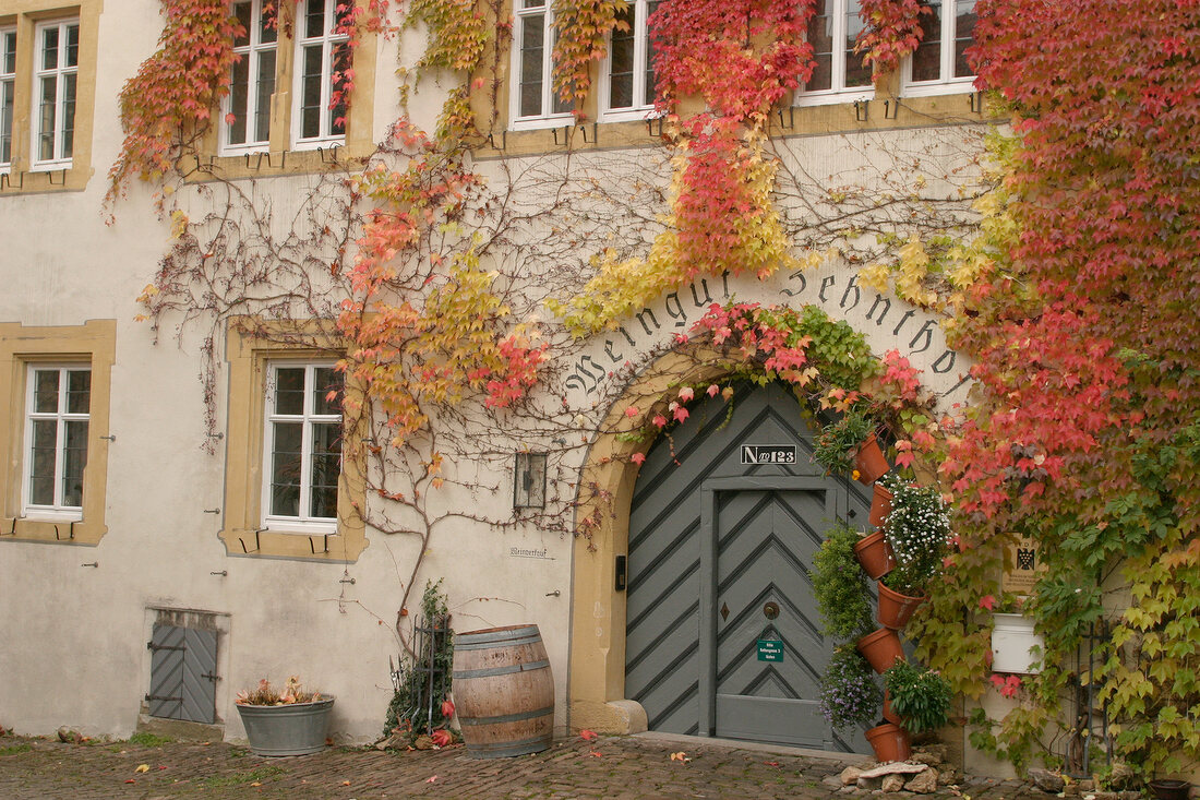 Zehnthof -Theo Luckert Zehnthof Theo Luckert Weingut in Sulzfeld Bayern