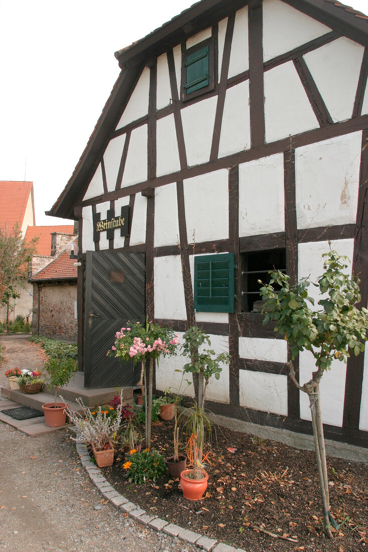 Schloss Staufenberg Schloß Staufenberg Weingut mit Weinstube Vesperstube in Durbach