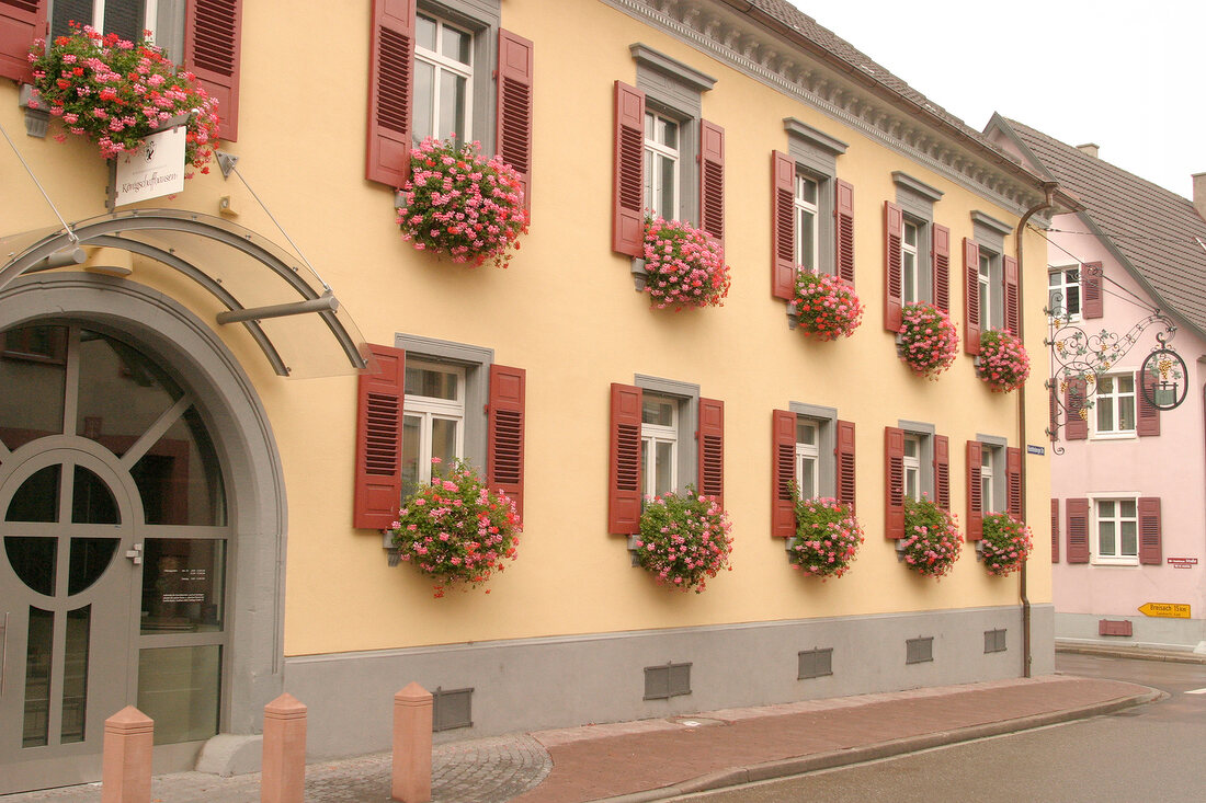 WG Königschaffhausen Winzergenossenschaft Weingut in Endingen Baden-Württemberg