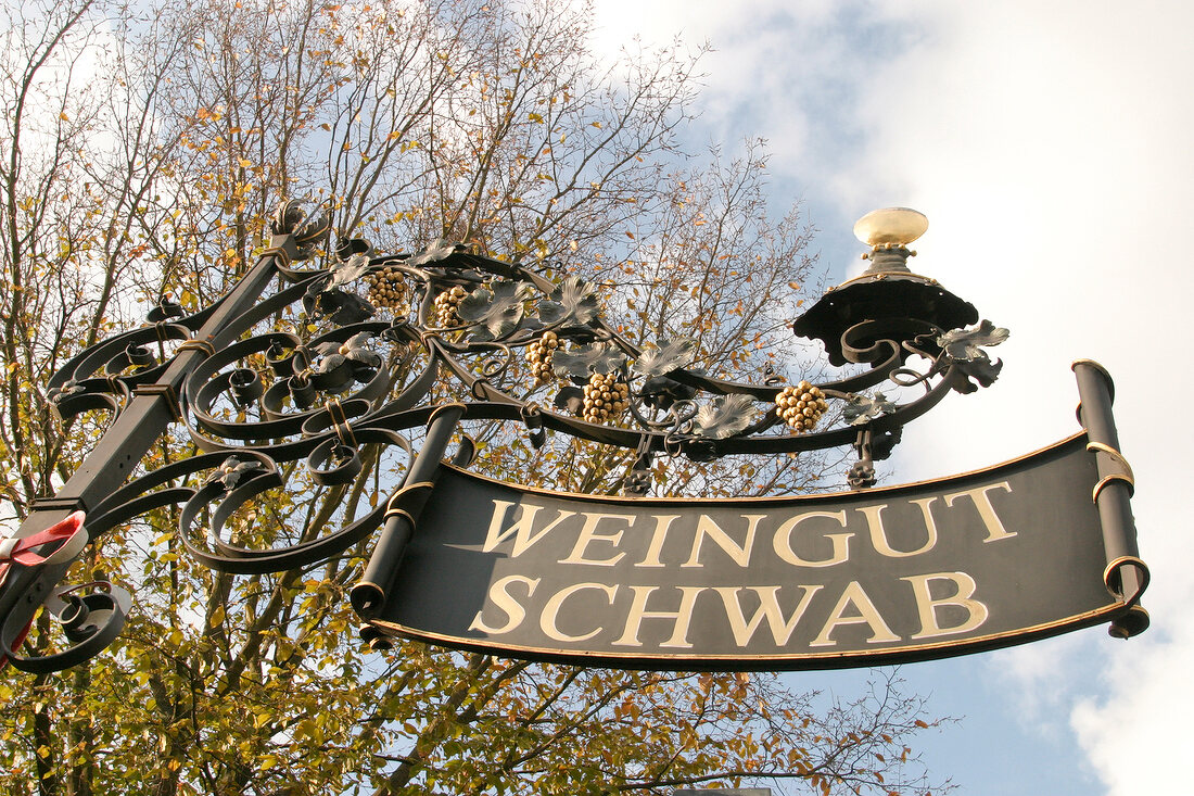 Gregor Schwab Weingut in Thüngersheim Thuengersheim Bayern