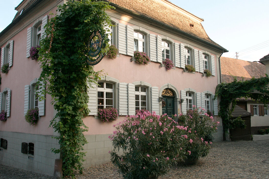 Bercher Weingut in Vogtsburg Baden-Württemberg