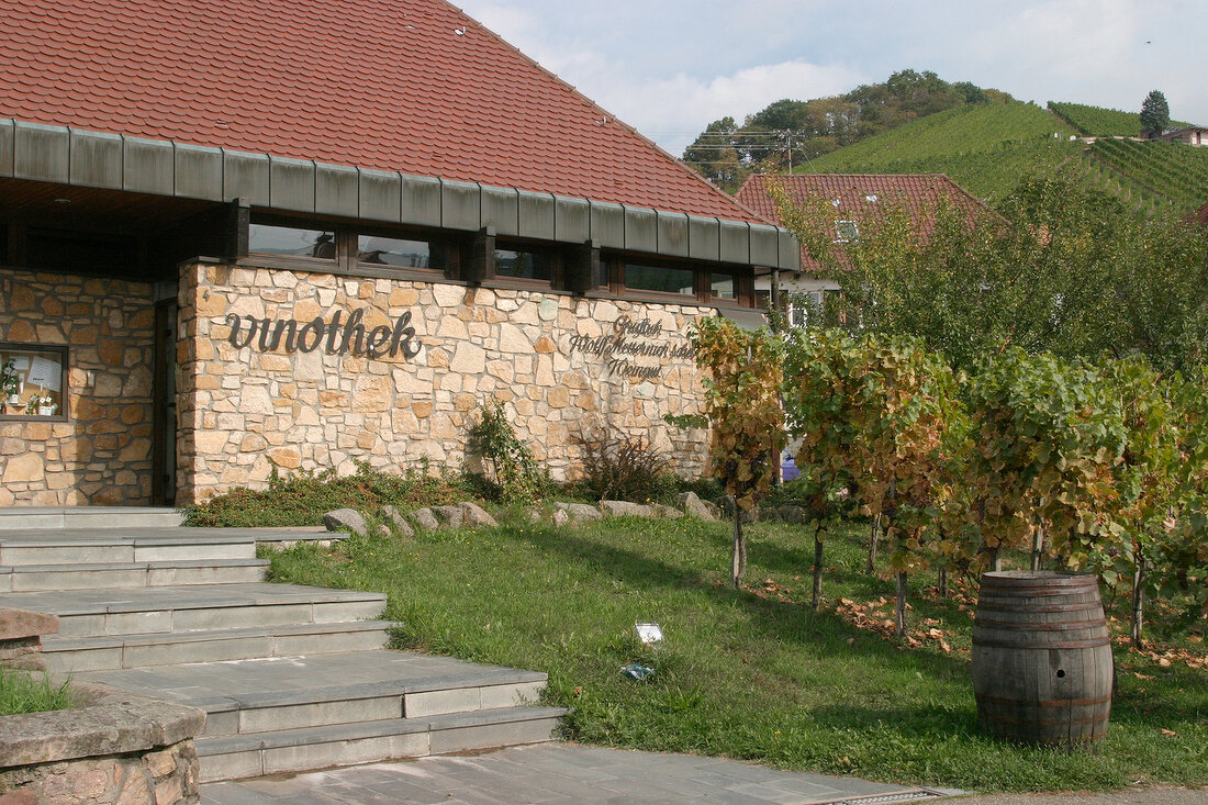 Graf Wolff Metternich Weingut mit Weinverkauf Vinothek und Gästezimmer Gaestezimmer in Durbach