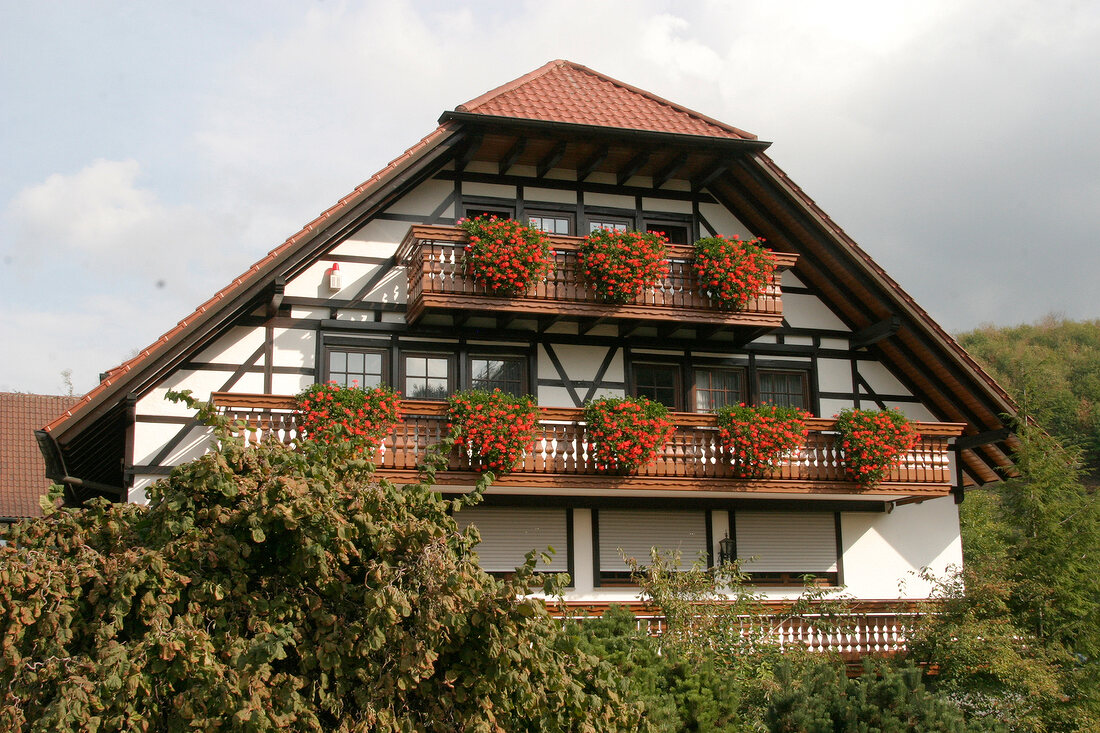 Andreas Männle Andreas Maennle Weingut mit Weinverkauf in Durbach Baden-Württemberg