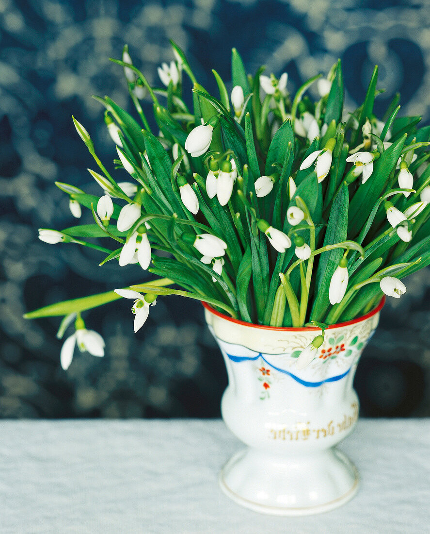 Close-up of galanthus flowers in vase