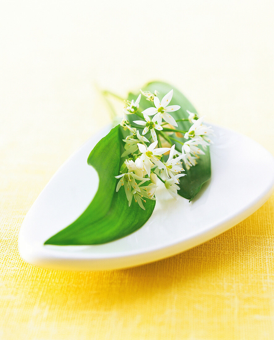 Close-up of wild garlic in bowl