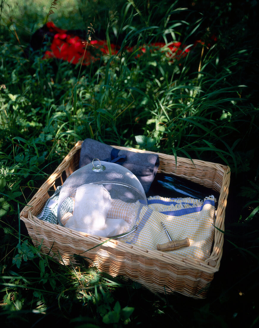 Picnic basket with utensils in tall grass, elevated view