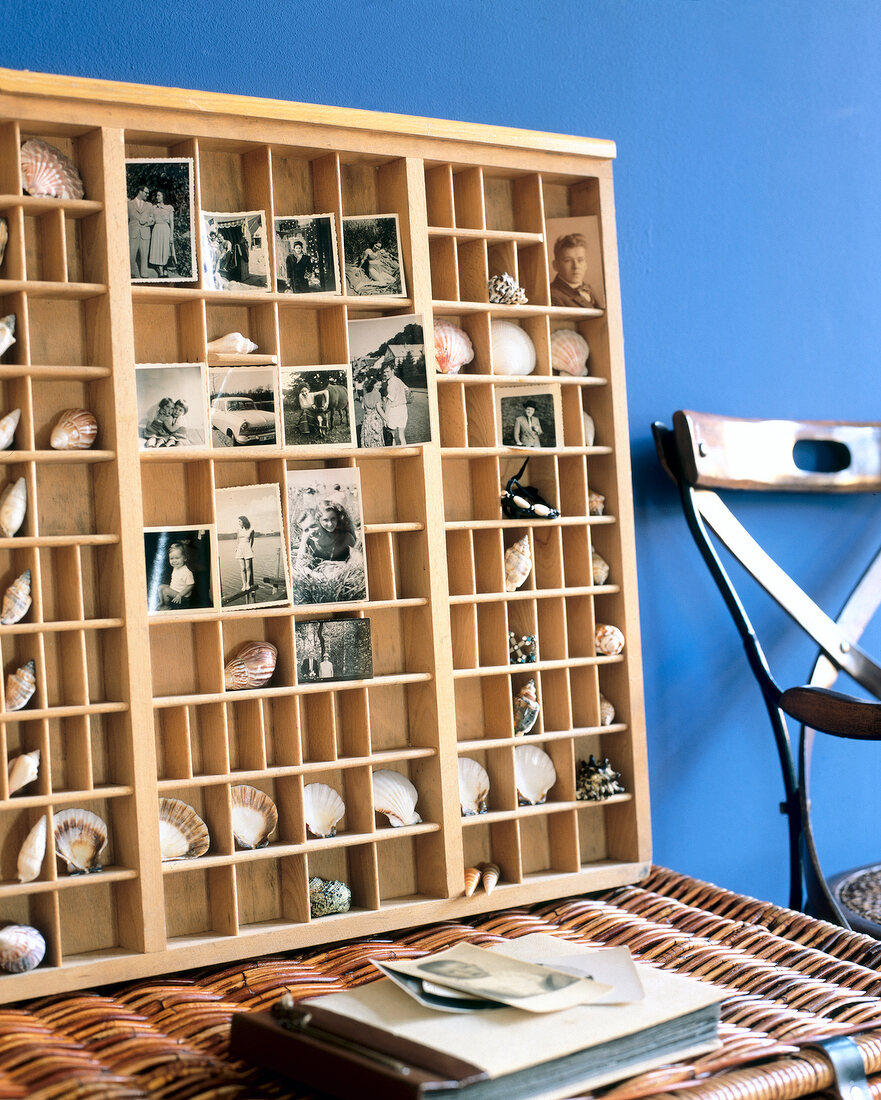 Photographs and shells in wooden hutch