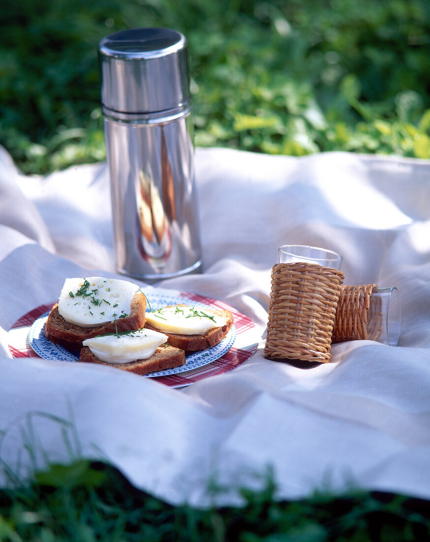 Belegte Brote, Thermoskanne und Gläser auf einer Decke im Gras