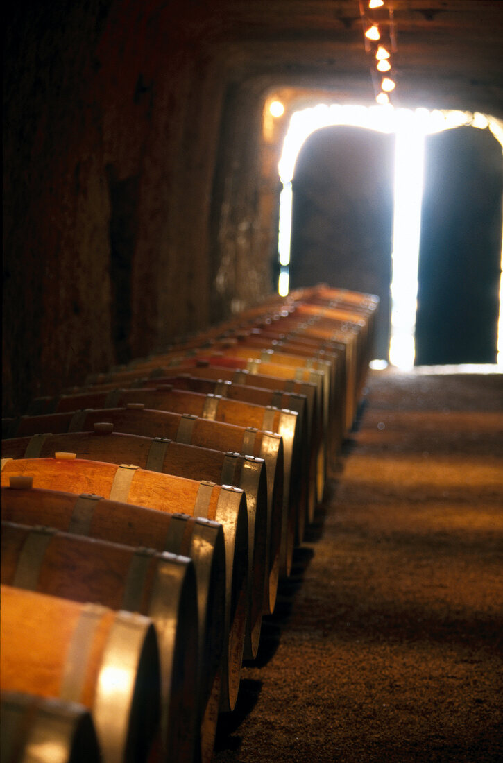 Weinfässer im Felsenkeller vom Weingut Alliet, an der Loire