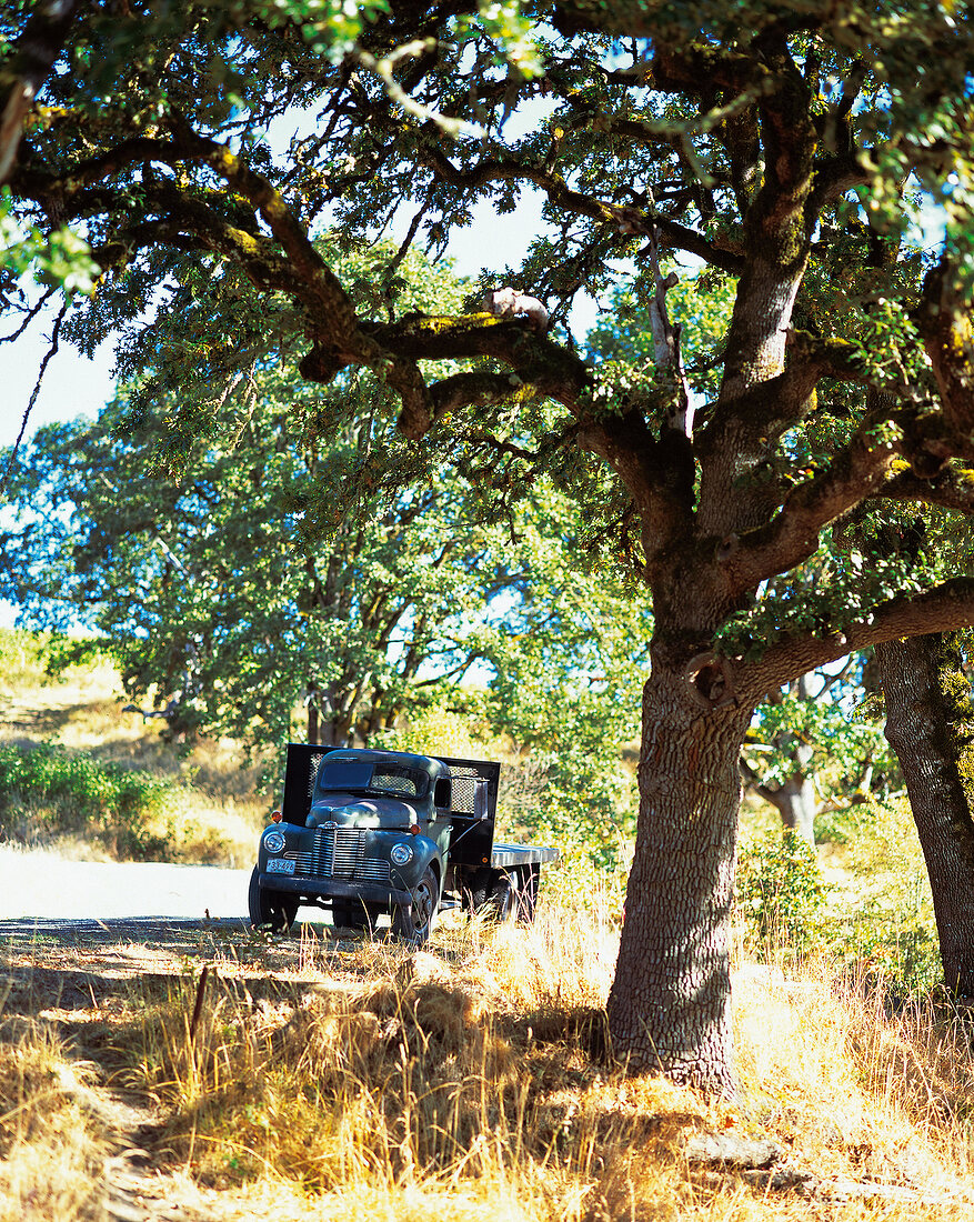 Weinanbaugebiet in Oregon, Pinot noir, Beaux Freres, Newberg, Truck