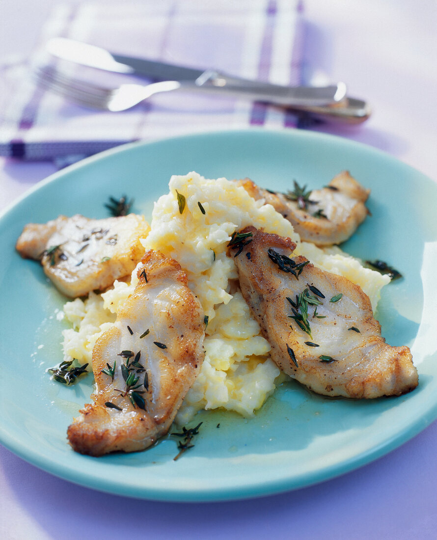 Close-up of ling fish with celery puree on plate