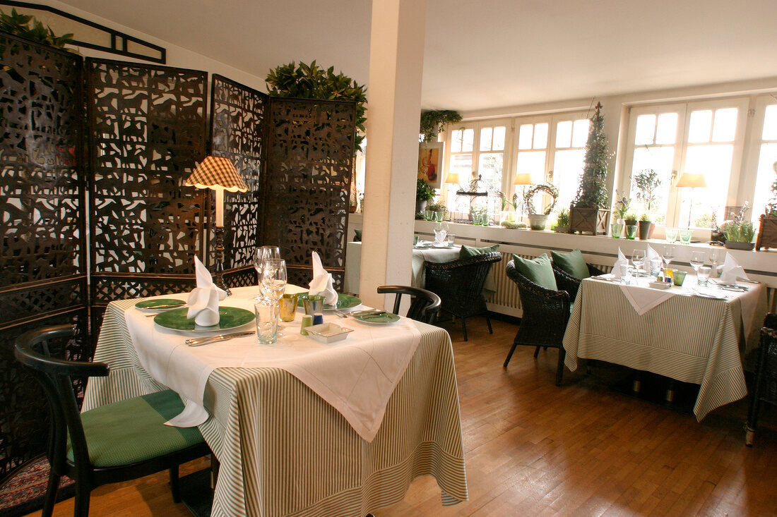 David Restaurant Gaststätte Gaststaette in Regensburg