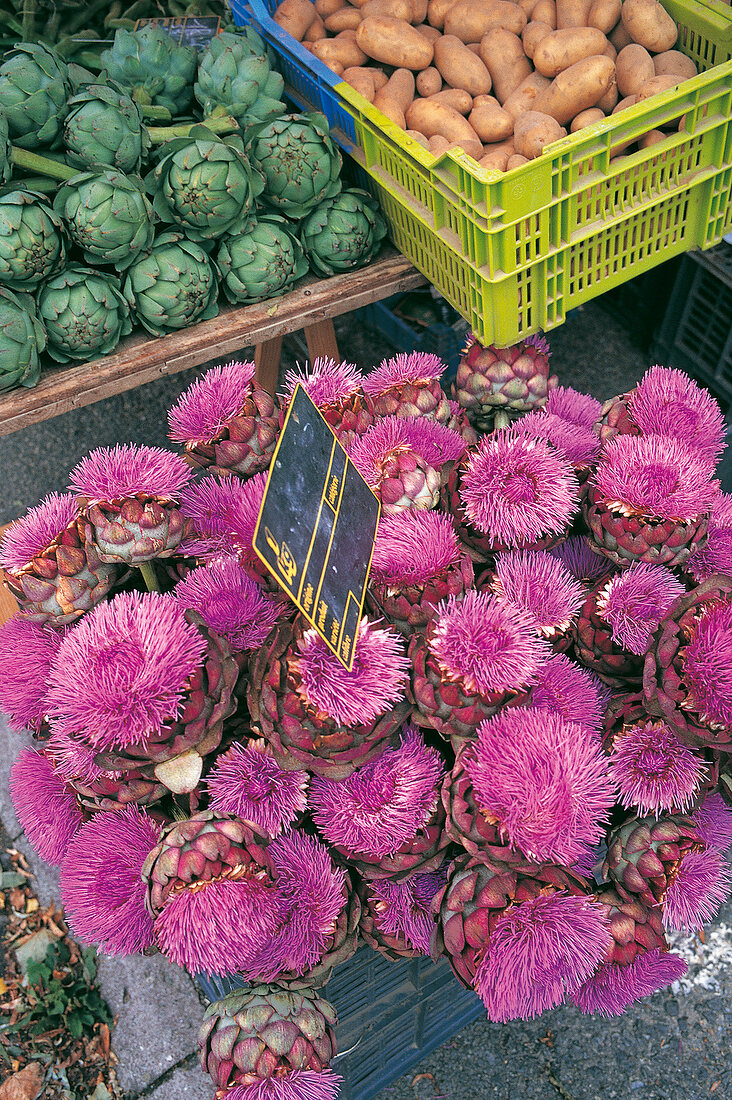 Marktstand in Roscoff mit Artischocken.