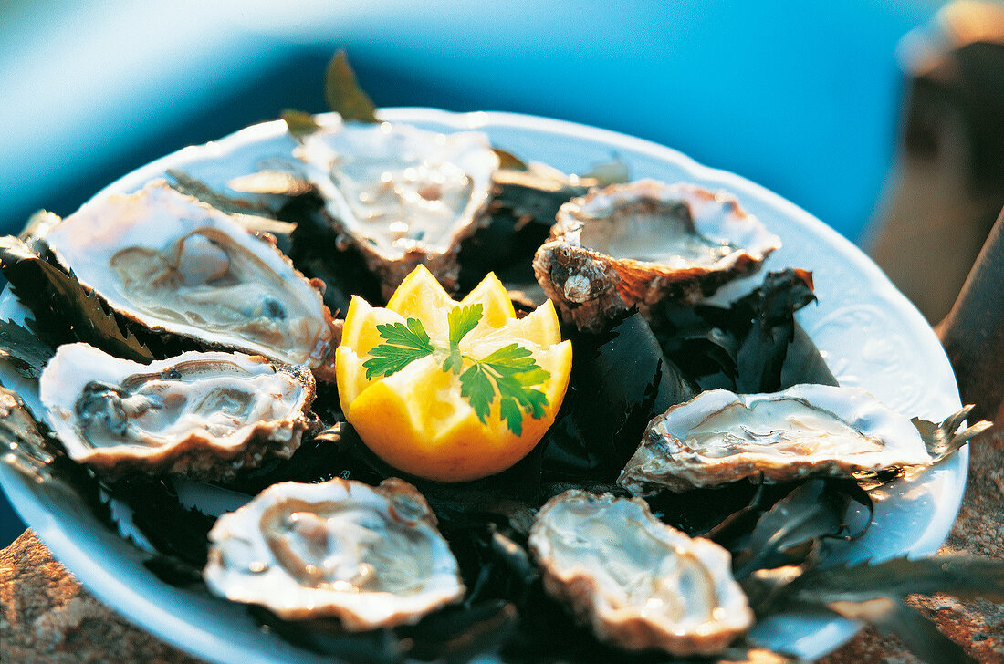 Close-up of oysters with lemon on plate