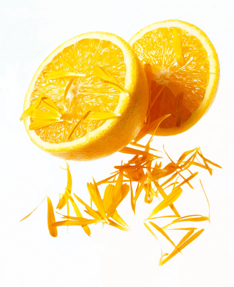 Close-up of two halves oranges and flower petals on white background