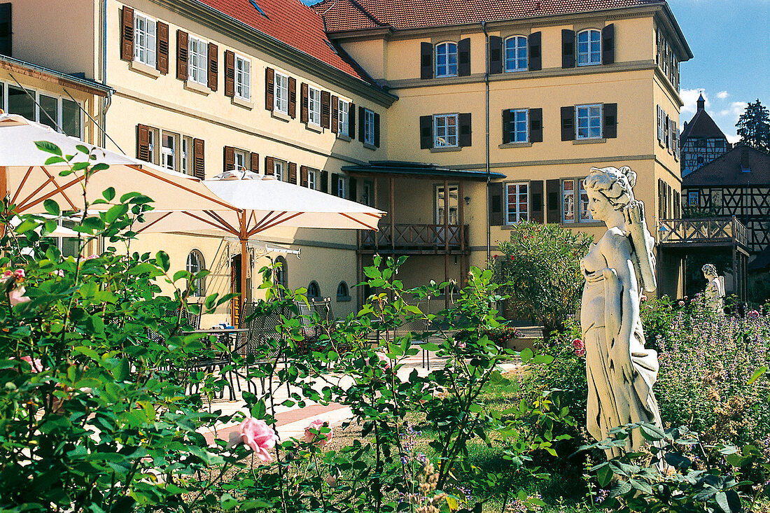 Schloss Neckarbischoffsheim Terrasse 