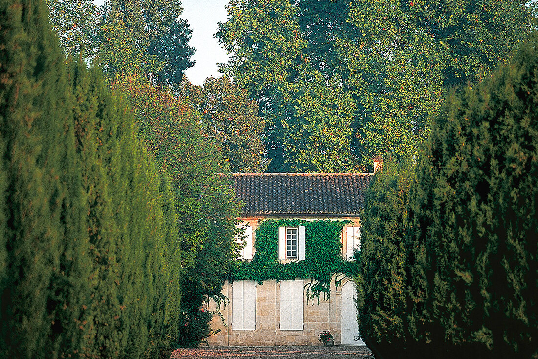 Château Trotanoy in Pomerol, im Bordelais, Weingut v. Fam. Moueix