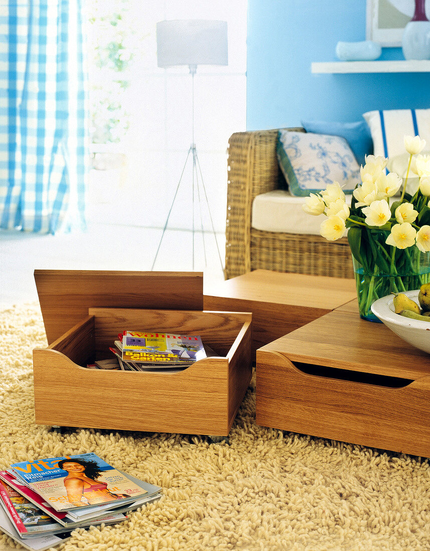 Magazines in wooden low container and carpet