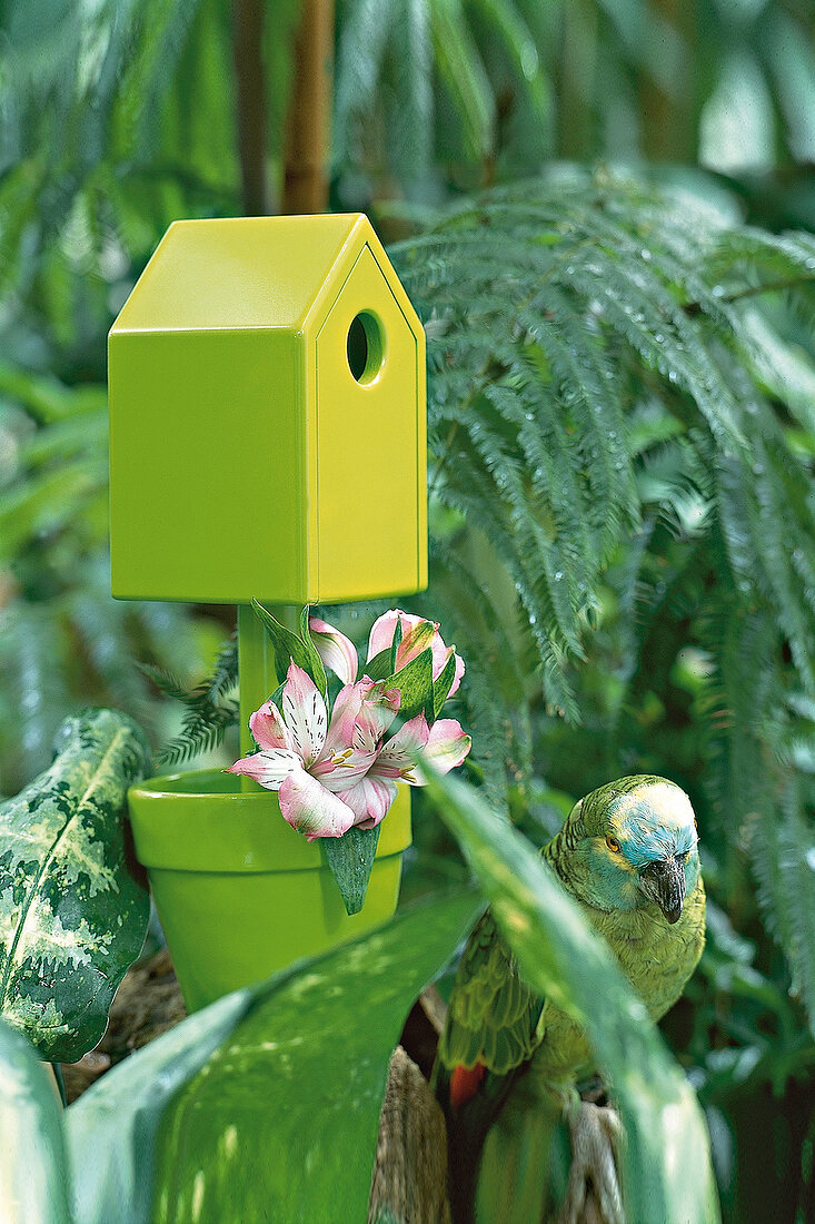 gruenes Vogelhäuschen mit Papagei im Topf verankert