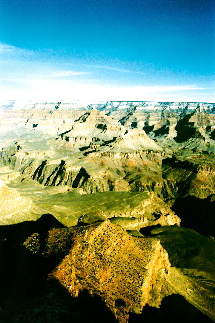 View of Sonora Desert