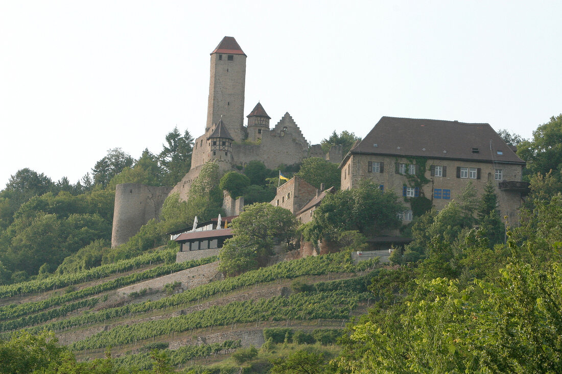 Burg Hornberg Weingut mit Weinshop in Neckarzimmern Baden-Württemberg Baden Württemberg