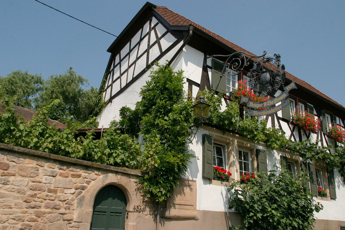 Christmann Weingut mit Restaurant und Weinbar in Neustadt Rheinland-Pfalz Rheinland Pfalz