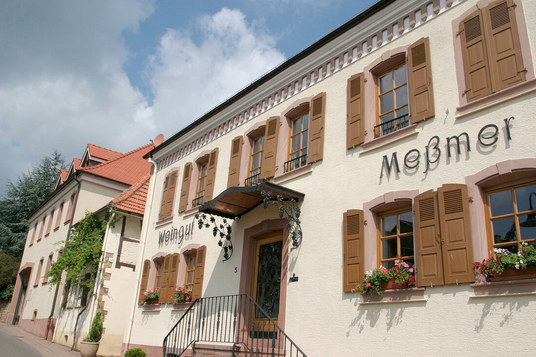 Messmer Meßmer Weingut mit Ferienwohnungen in Burrweiler Rheinland-Pfalz