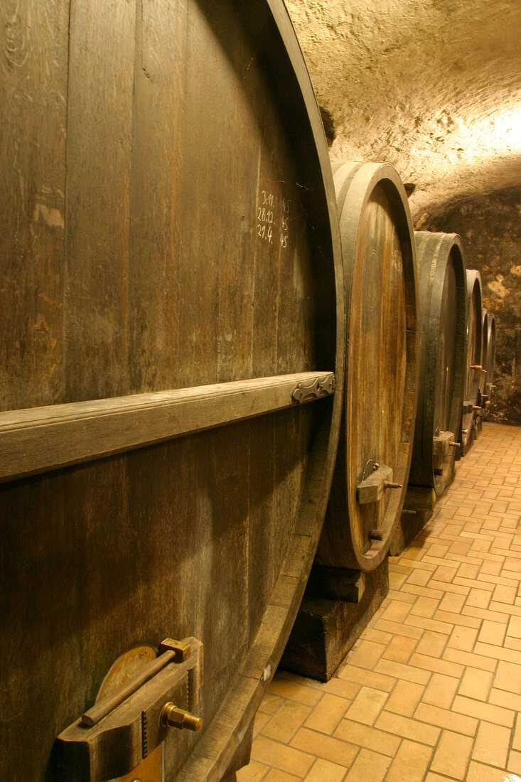 Peter Argus Weingut mit Weinverkauf in Gleisweiler Rheinland-Pfalz Rheinland Pfalz