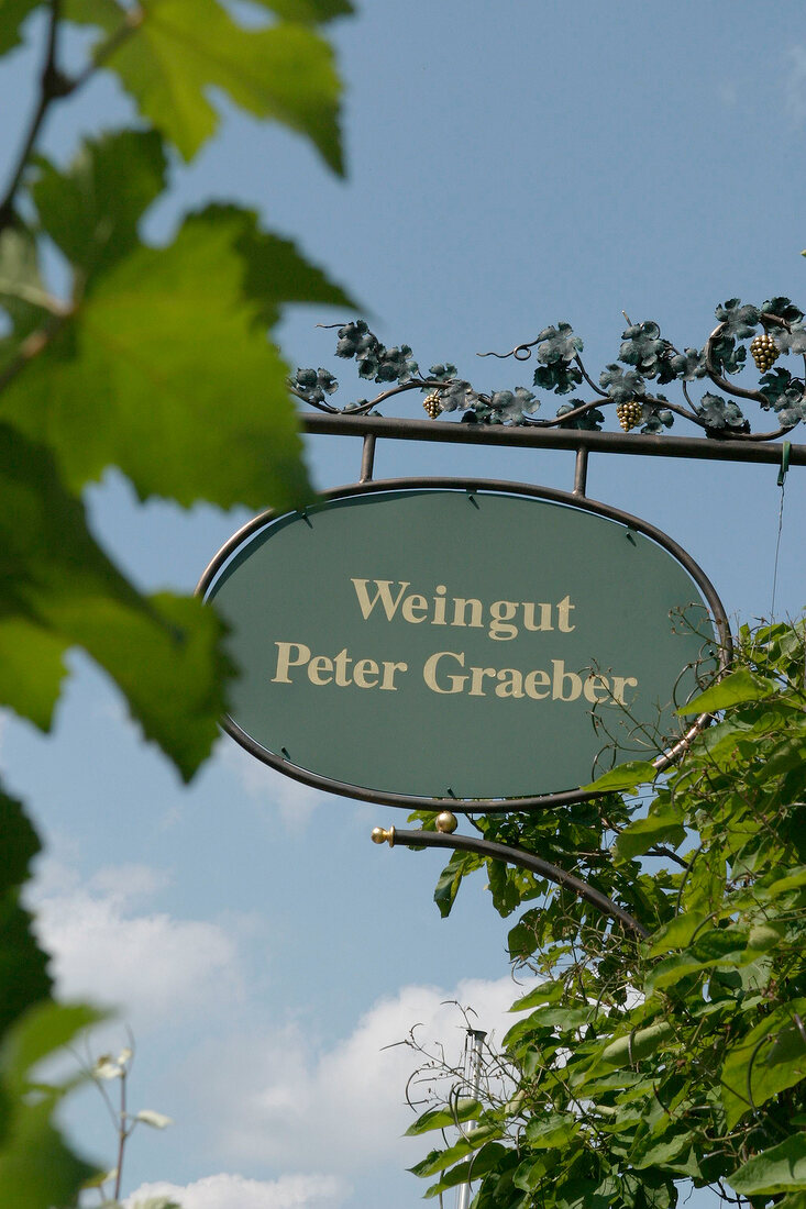 Peter Gräber Weingut mit Weinverkauf in Edenkoben Rheinland-Pfalz Rheinland Pfalz