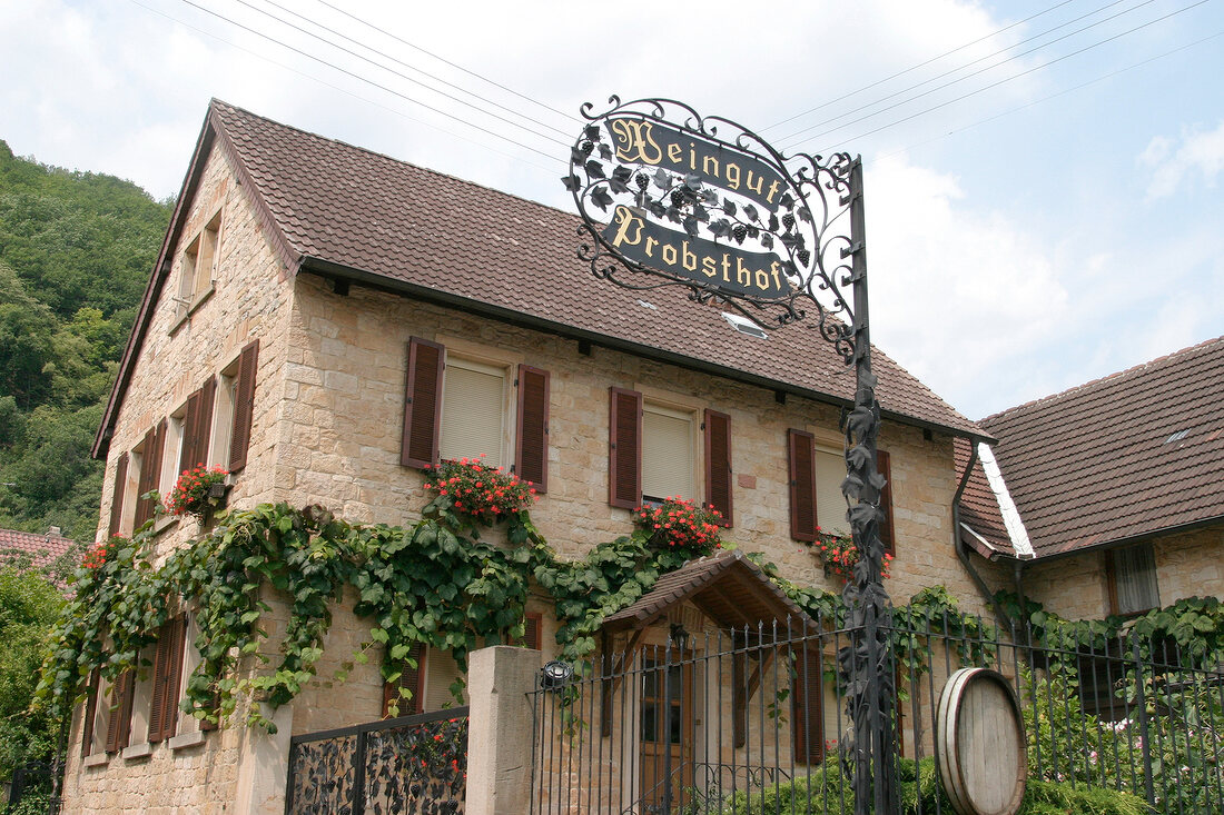 Probsthof Weingut mit Weinverkauf in Neustadt Rheinland-Pfalz Rheinland Pfalz