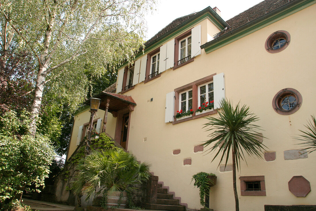 Theo Minges Weingut mit Weinverkauf in Flemlingen Rheinland-Pfalz Rheinland Pfalz